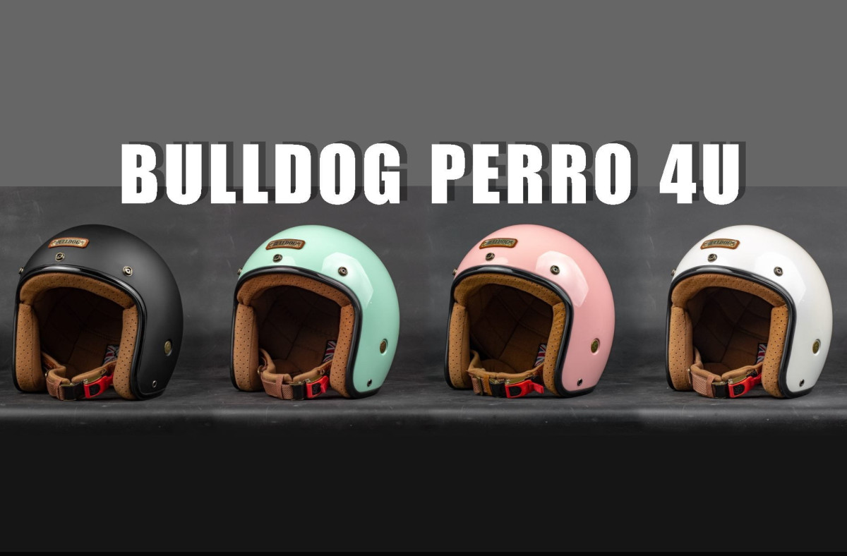 mu bao hiem 3 4 bulldog perro 4u nhieu mau 025